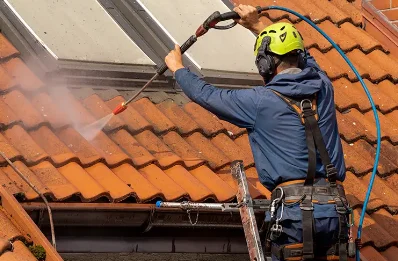 Démoussage et hydrofuge de toiture à Aubertin